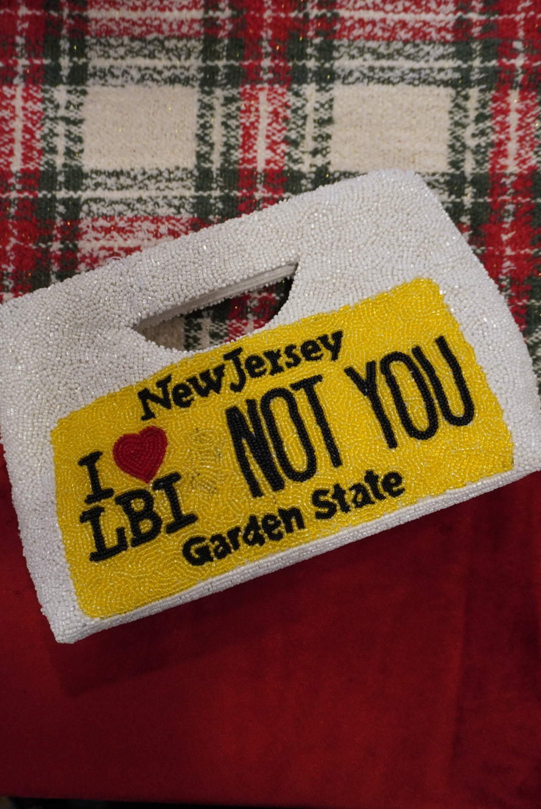 License Plate Bag